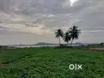 Sale land in near erode 7 km sakthi rode rate sq1500