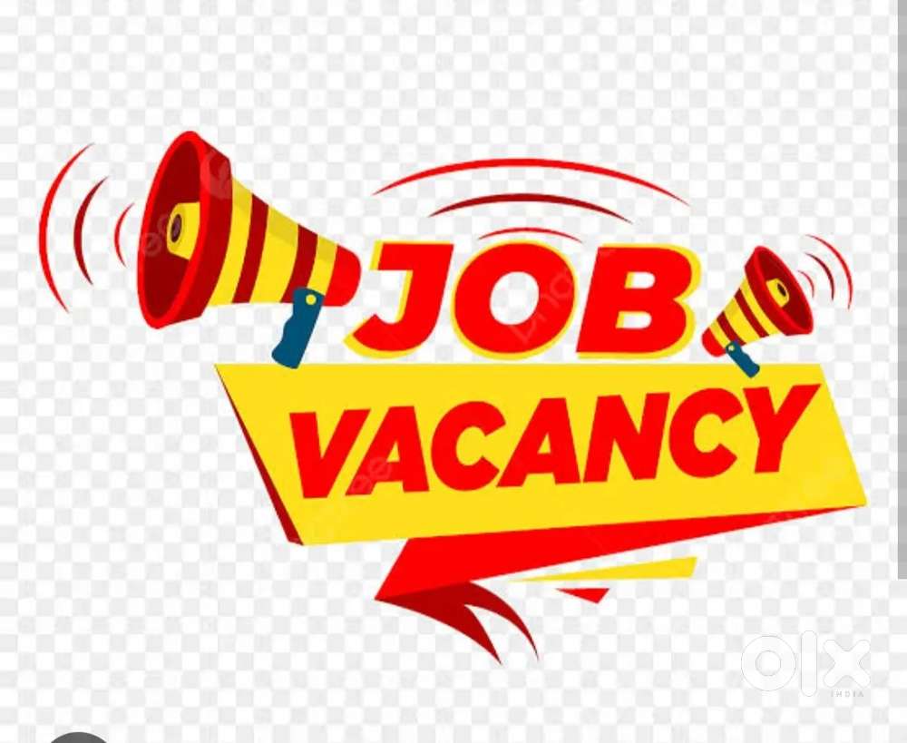 Personal assistant for Some Mind Relax Purpose only female candidate's