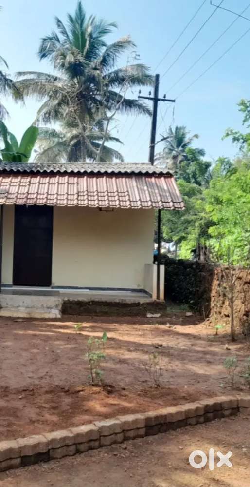 Family room for rent