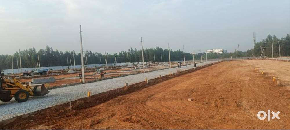 Sunrise – Not Just a Plot, It’s a Lifestyle Upgrade
