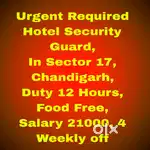 All Security Jobs Chandigarh 58