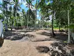 20 cent plot for sale in erezha north, chettikulangara.