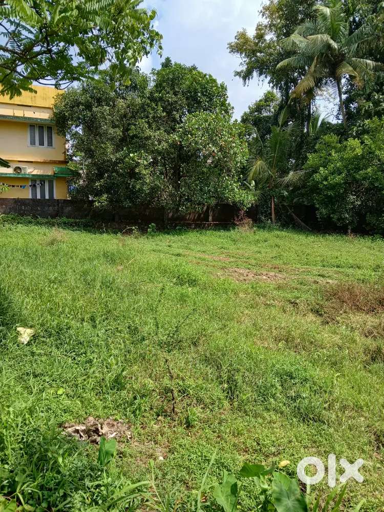 Aluva paravorkavala house  polot 64 cent sael