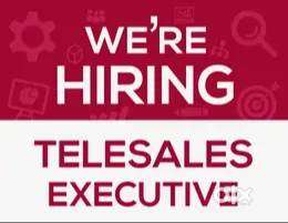 Tele Sales Executive