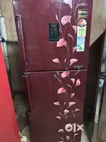 Samsung 255 liter digital inverter refrigerator available