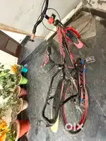 Kids bicycle well maintained