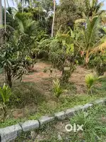 Nearby Thriprayar Chemmapilly mutichur road bus stop near