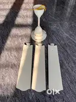 Ceiling fan