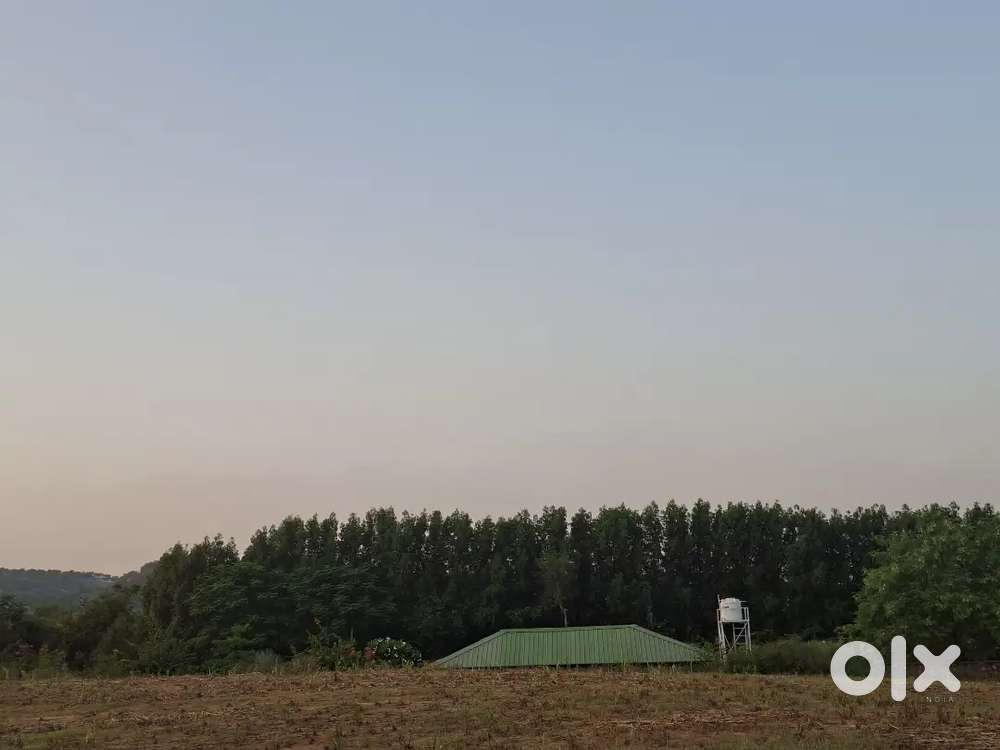 Mini farm house for sale Raysina belt full devlop area with registry