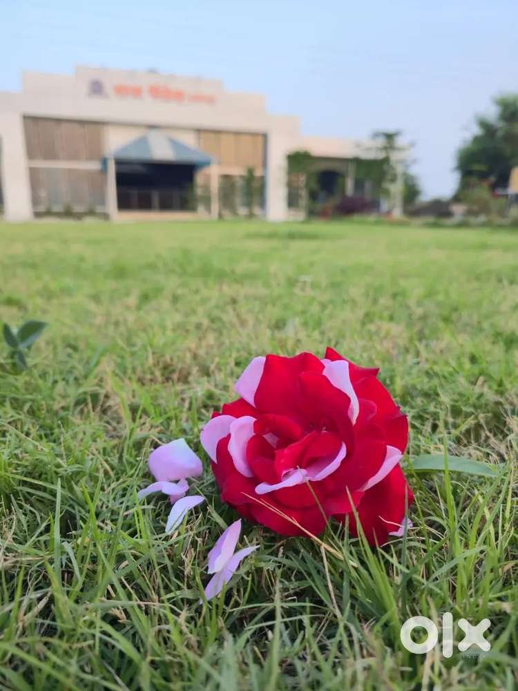 Luxury Rooms available