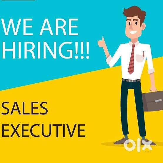 Sales Executive