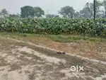 Urgent low price plot for sale in Kichha