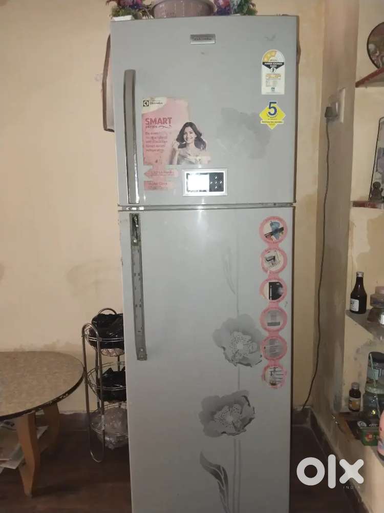Fridge double door