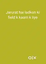 Field k ladko ki zarurat hai bike honi chaiye