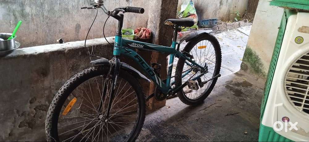 Fat tyre cycle