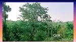 WRE 78. സുൽത്താൻ ബത്തേരിയിൽ 2.12 ഏക്കർ സ്ഥലം വിൽപ്പനയ്ക്ക്