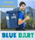 Bluedart Delivery job in Velachery