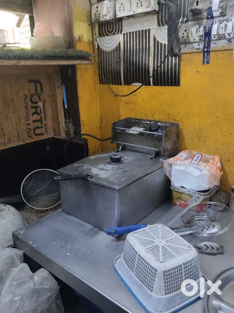 Electric fryer