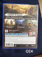 Far cry ps4 game