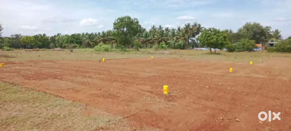 திருச்செந்தூர் முருகா