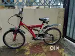 Children+Adult both cycle for sell