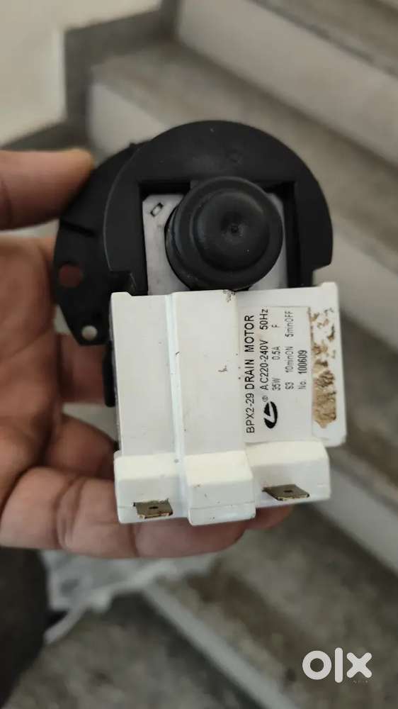 Washer drain pump motor