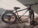 New Model Fat bike 6 monthnold