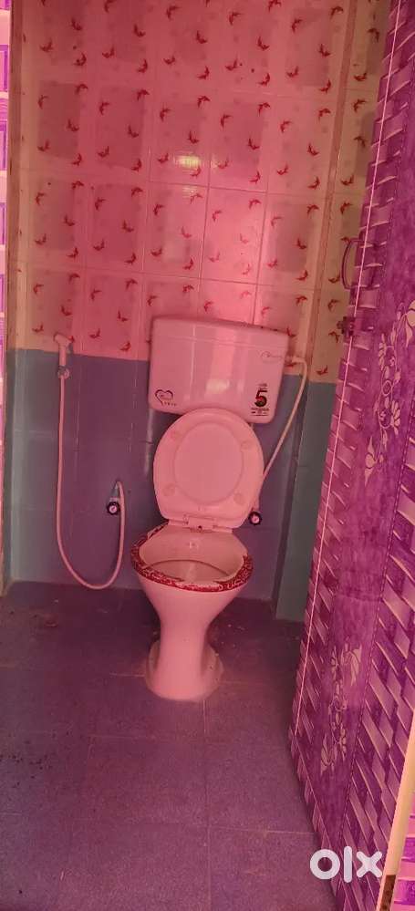 Please or rent welcome