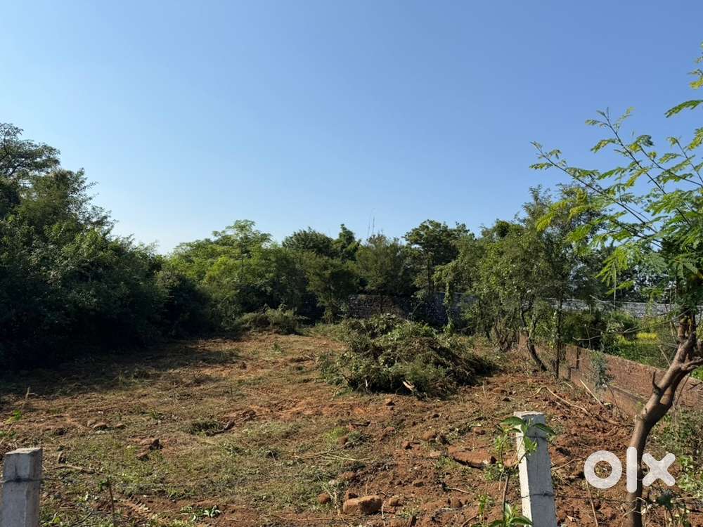 Badhani near dps school