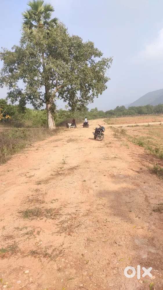 Nunna vikas college road 200sq yards