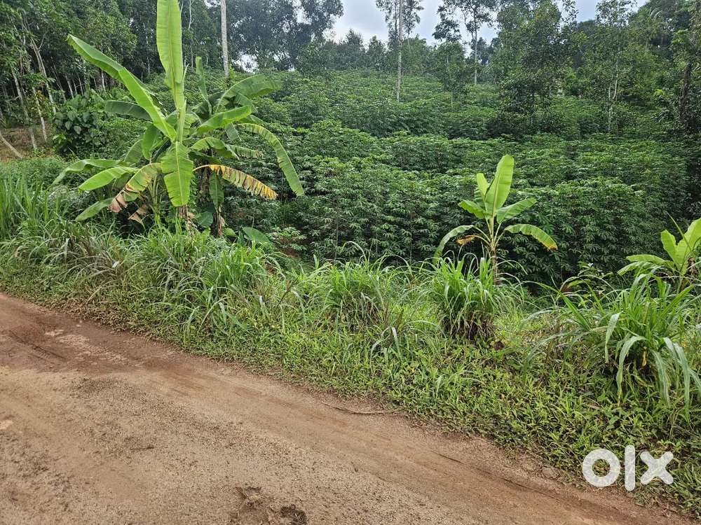 75 cent land for sale in Enanalloor near Avoli