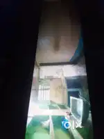 Independent Floor For Rent (Barabazar, Burdwan)