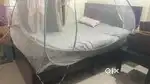 bed+dining+chair