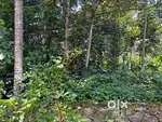 5 cents karabhumi. Lorry site main road to property 100 meter,
