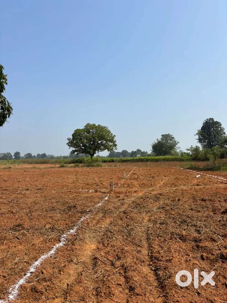 Available 5Decemil ,6Decemil plot