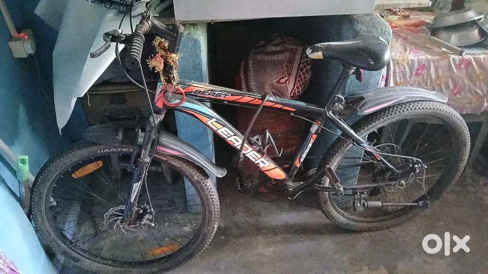 Beast cycle