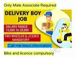 Delivery boy job - Dapodi