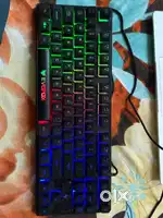 EvoFox EGB Gaming Keyboard – Great Condition!