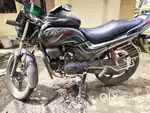 Passion Pro for Sale