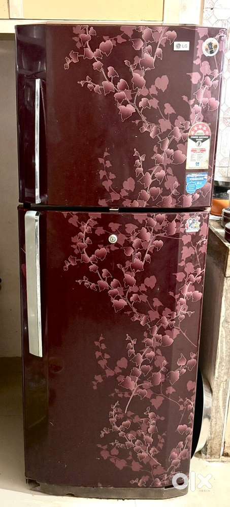 LG Fridge 5 star