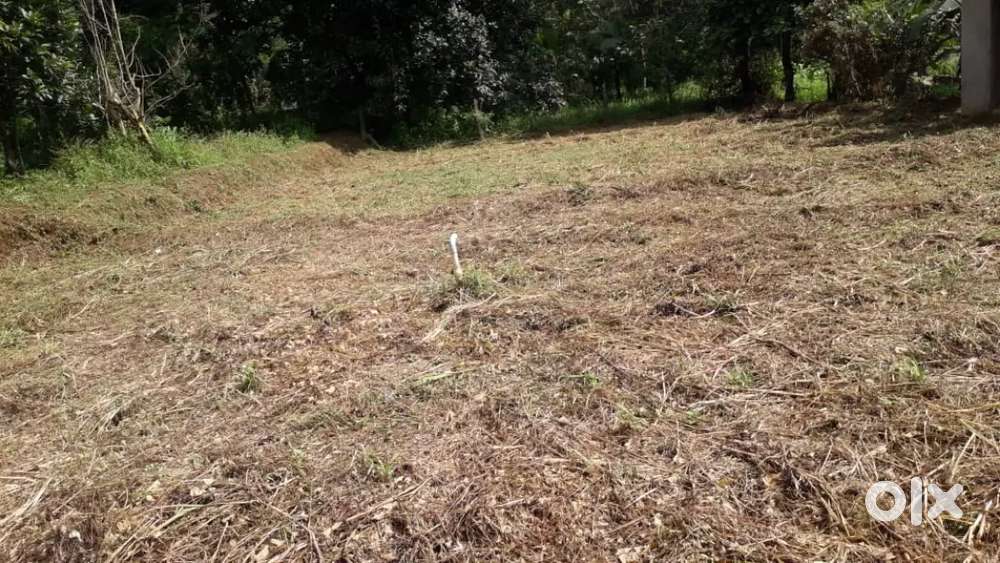 30 cent plot for sale in ARIPRA near Thirurkad