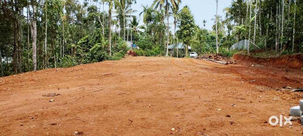 58 cent land for sale.Near cheeral.WAYANAD [sulthan bathery]