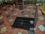 Dog nest for sale