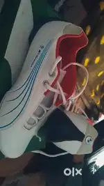 Puma bmw edition shoes