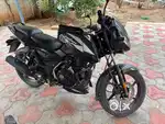 Pulsar 125 carpet model