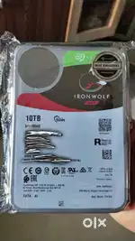 10 TB Seagate Ironwolf Pro Nas