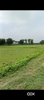 Arpita abhay real estate