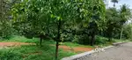 Beautiful house plots near Angamaly,, 4,6,8,10 cents
