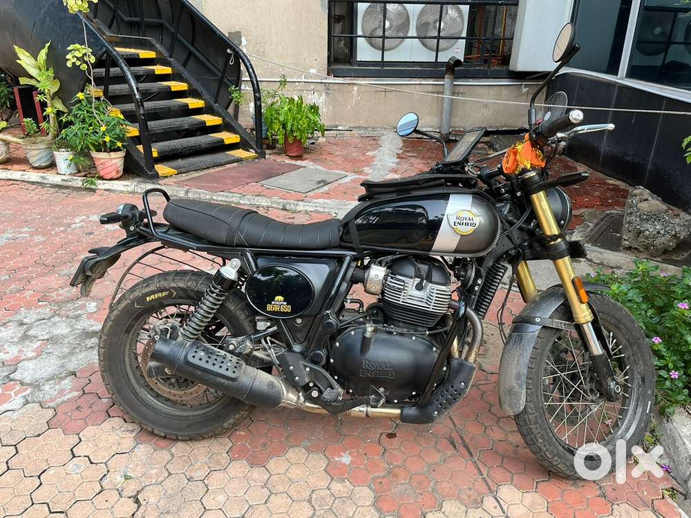 Bear 650 - Golden Shadow (with PPF & Accessories)
