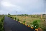 ANNARAM PLOTS